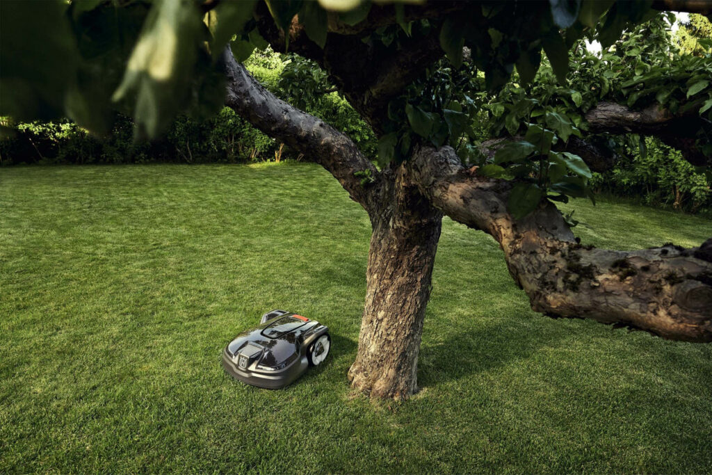 Mähroboter arbeitet in einem grünem Garten neben einem Baum